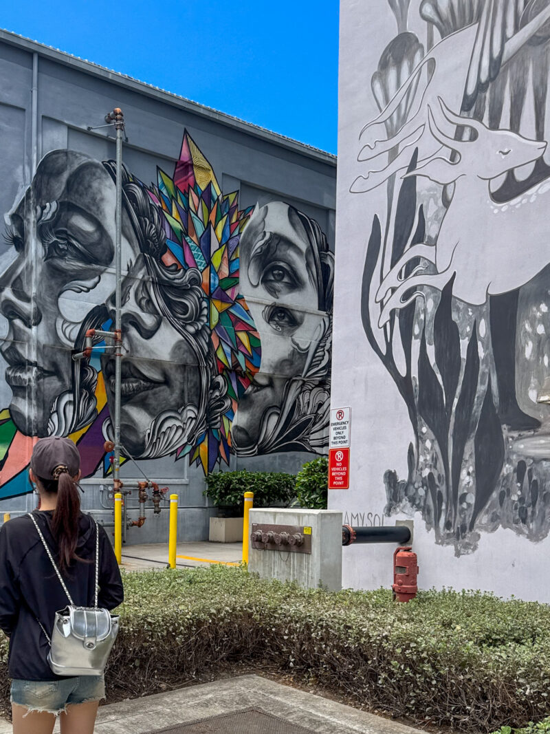 ココアカ　アート